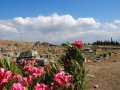 Hierapolis-Panorama