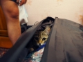 Katze-Tasche