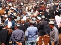 Kashgar-Viehmarkt-Sonntag