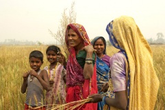 Nepal 2009 - Terai